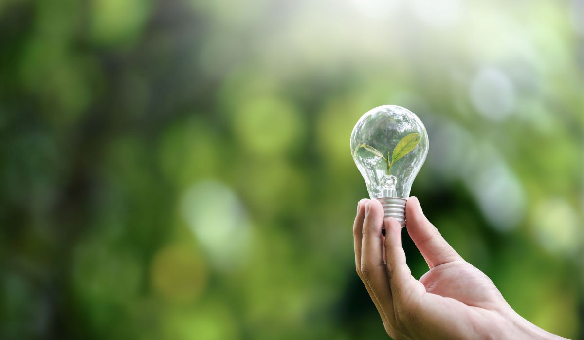 Energiesparen im Haushalt: Die 10 wirksamsten Maßnahmen