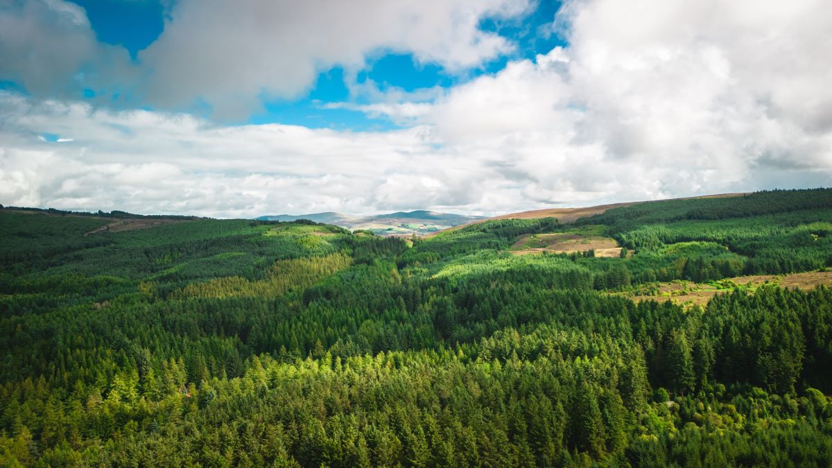 Natur vor der Haustür entdecken – Schätze finden